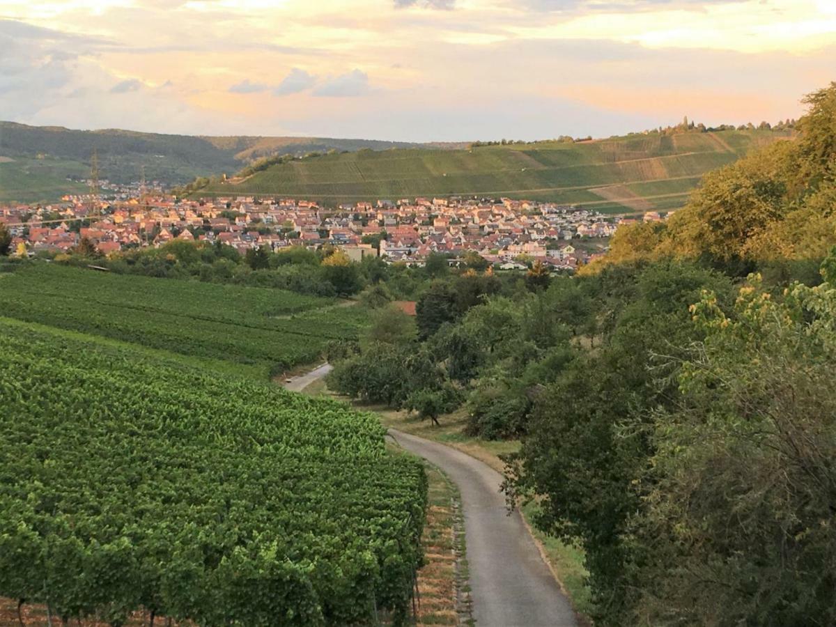 Ferienwohnungen Weinstadt Zewnętrze zdjęcie